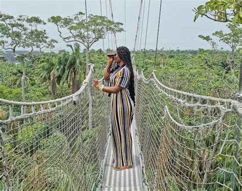  De Lekki Conservation Centre: Een Oasis van Rust en Biodiversiteit in het Hechte Lagos!