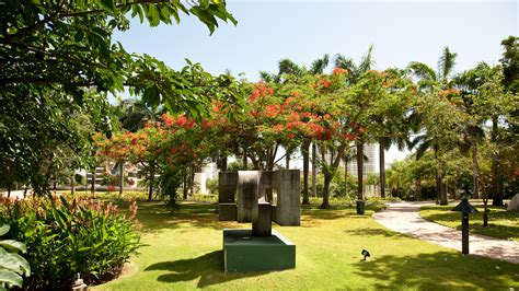 De Jardín Botánico de Guanajuato! Een Oase van Rust en Ontdekking in het Hart van Mexico