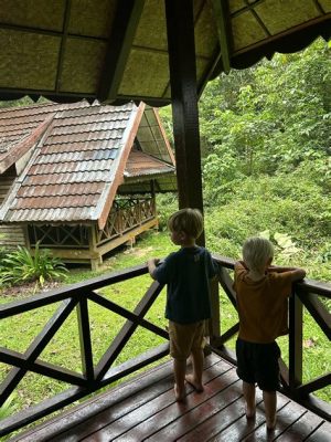  De Taman Negara: Een oerwoudavontuur voor de echte jungleheld!