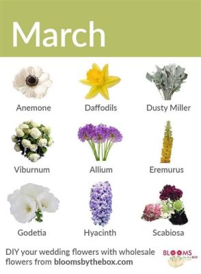 What Flowers Are In Season In March: And Why Do They Smell Like 